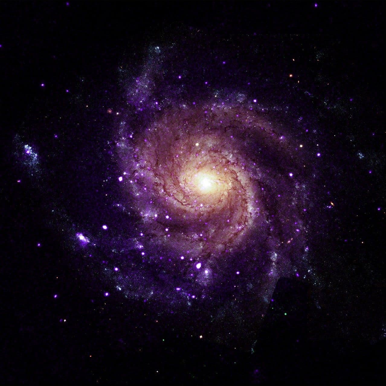 NASA’s Chandra Unveils Mysterious X-Ray Objects