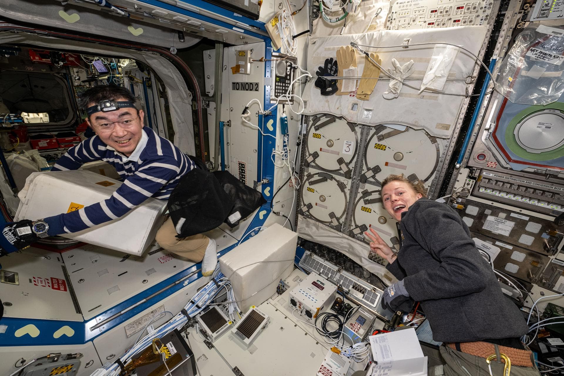 Bone Cell Research Advances as Dragon Adjusts Station’s Orbit