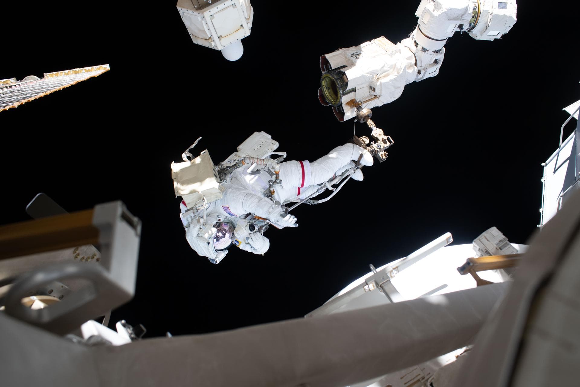 Blood Vessel Printing, Cancer Research, and Spacewalk Preps Keep Crew Busy