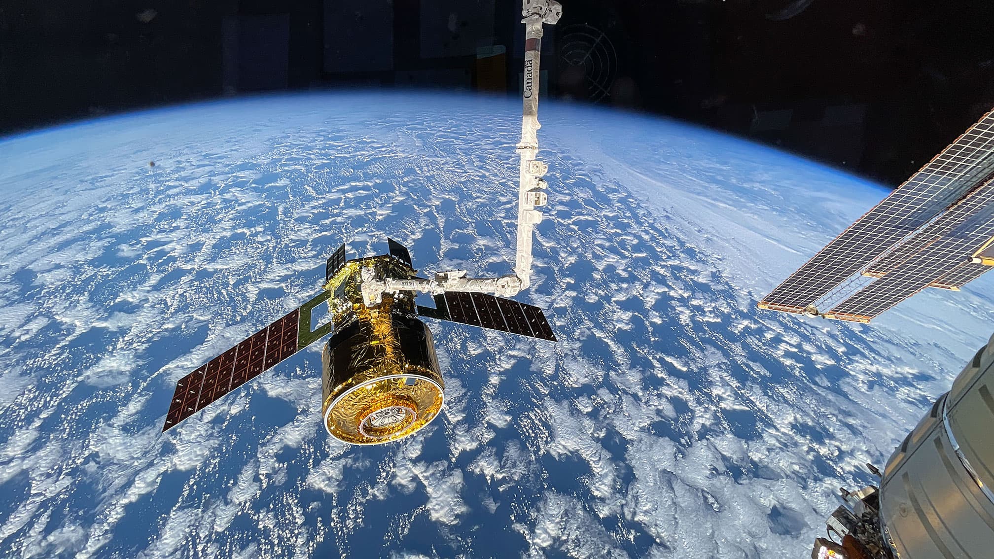 Canadarm2 Grips Cargo Spacecraft, Spacewalk Prep and Biology Continue