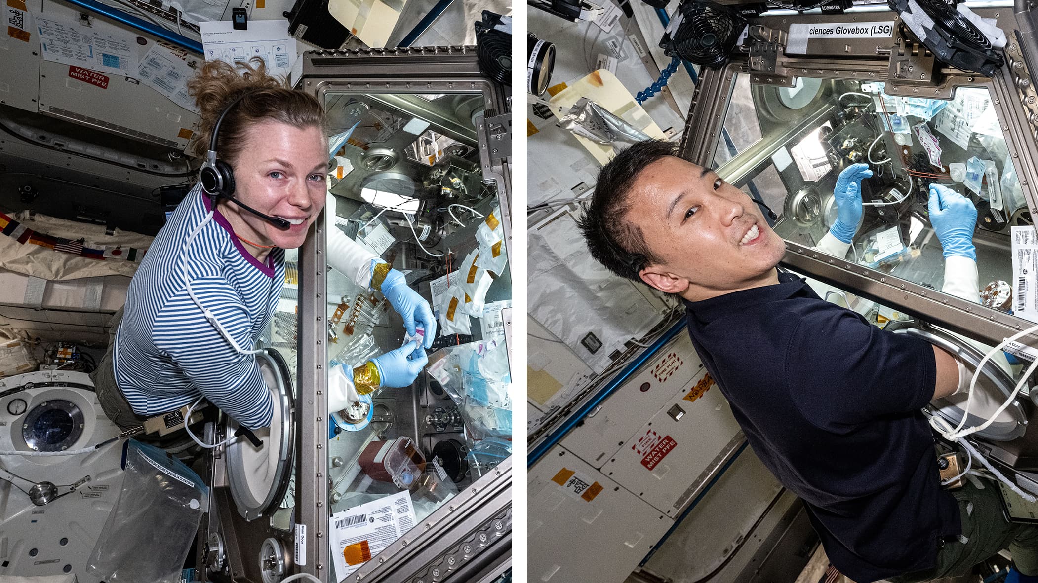 Bone Loss, Transistor Tech Top Tuesday Science as Cygnus Launch Announced