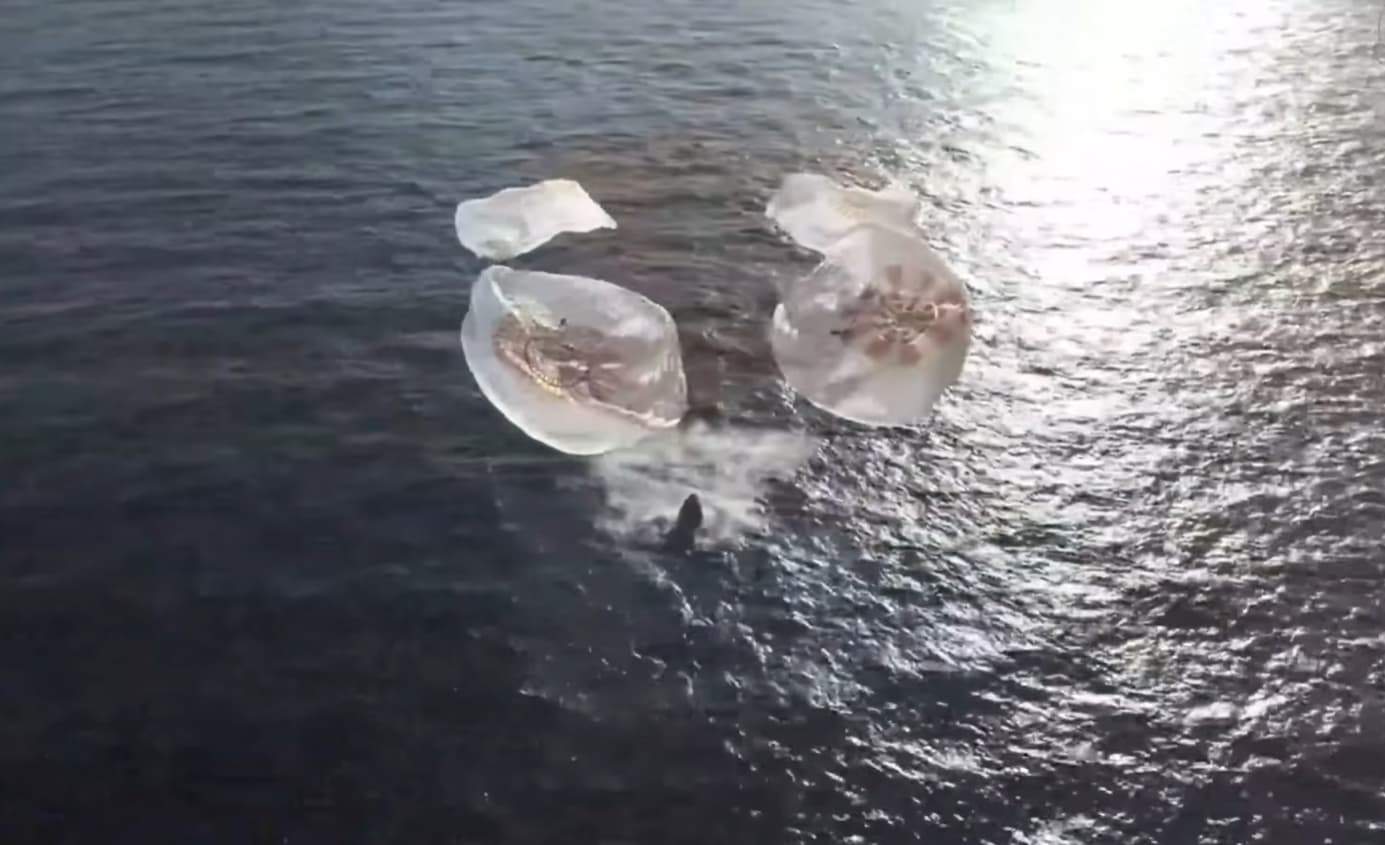 NASA’s SpaceX Crew-12 Dragon Splashes Down at 11:34 a.m. EDT